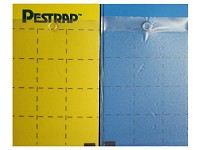 Pestrap Cards – Yellow and Blue